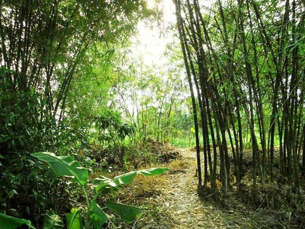 Green Village Homestay Can Tho Esterno foto