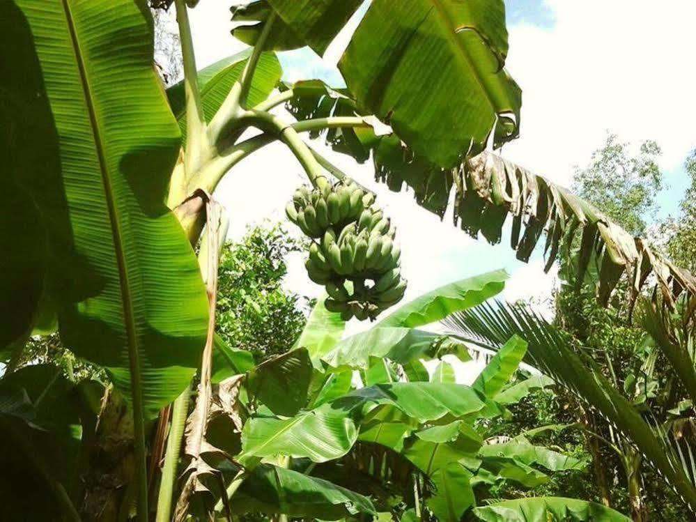 Green Village Homestay Can Tho Esterno foto